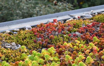 the cost of Gracefield green roof installation