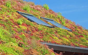 Gracefield living roof systems