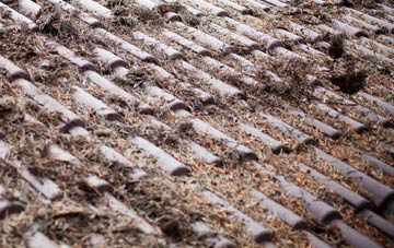 Gracefield roof cleaning companies